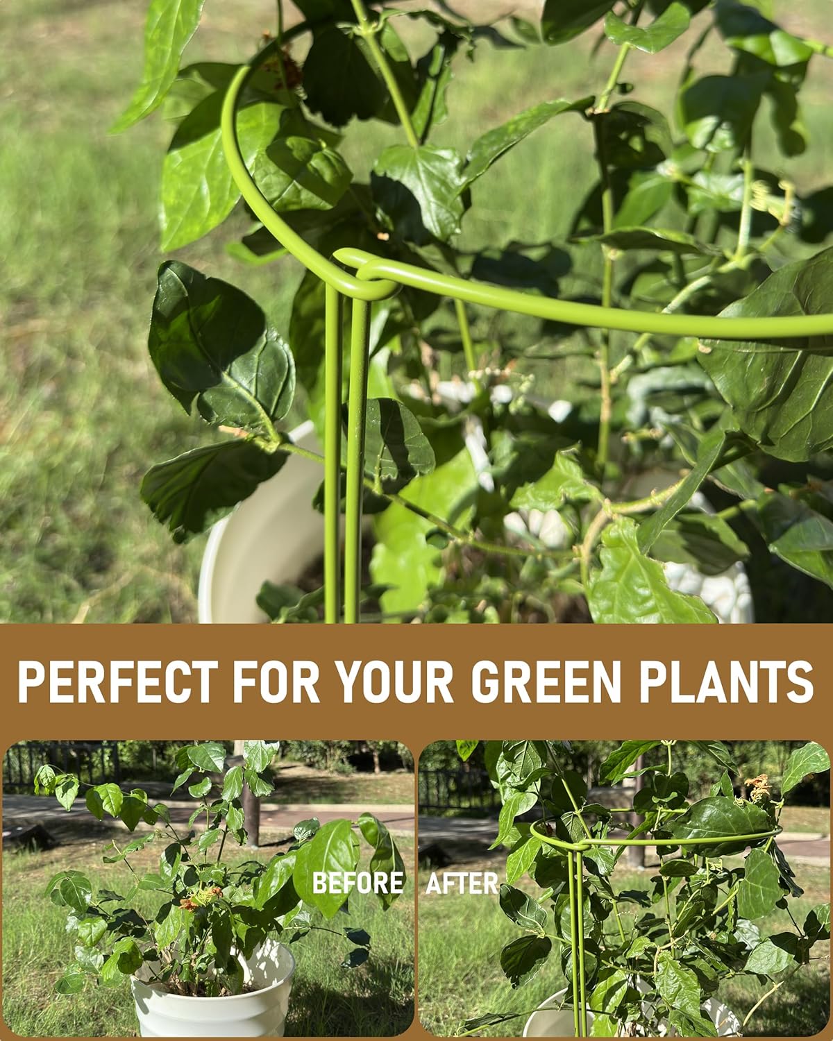 6-Packy Plant Support Stakes, Steel Stakes for Indoor Plants, Monstera & Peony Support, Tall Plant Sticks for Snake Plant, Climbing Vines (8" Wide x 14" High)