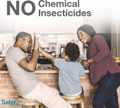 Safer Brand Home SH500 Indoor Fruit Fly Trap – Ready-to-Use, Non-Staining, No synthetic Insecticides