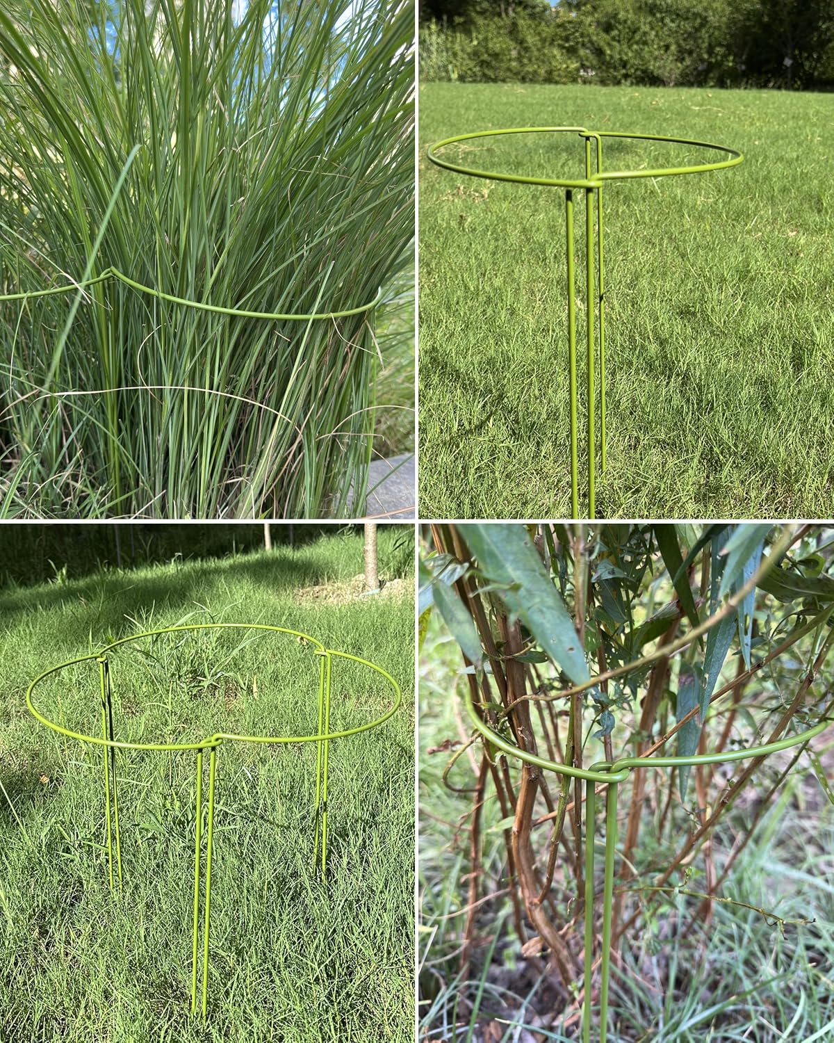 10-Pack Plant Support Stakes, Heavy Duty Steel Plant Stakes as Monstera Plant Support & Peony Cages, Metal Garden Stakes for Indoor Outdoor Plants, Snake Plant & Vine Support, 10" W x 15.8" H