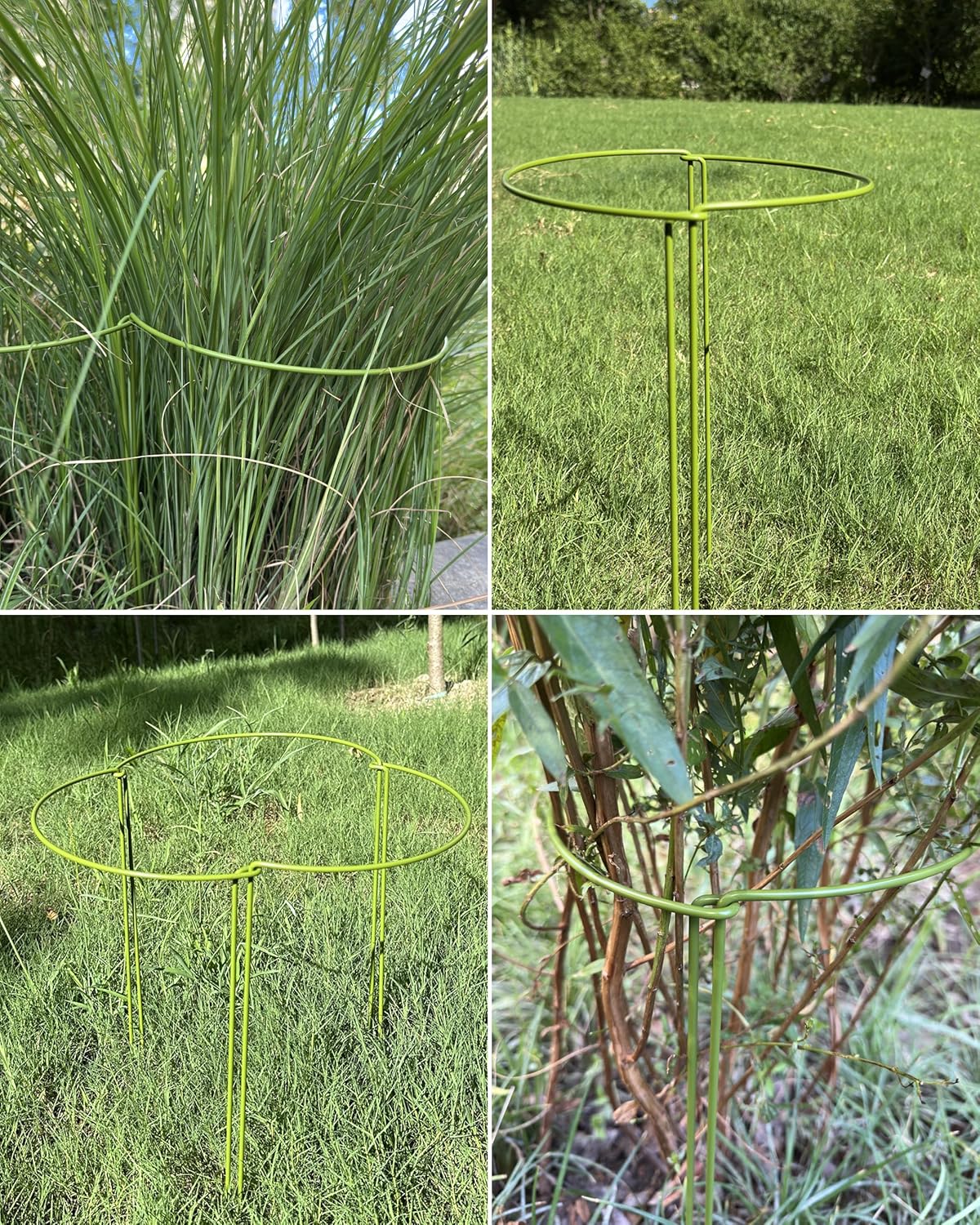 6-Packy Plant Support Stakes, Steel Stakes for Indoor Plants, Monstera & Peony Support, Tall Plant Sticks for Snake Plant, Climbing Vines (8" Wide x 14" High)